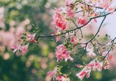 這是一張圖片 這是一張圖片