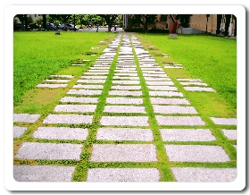 這是一張圖片 校園一景