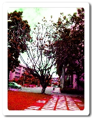 -archive-435_2f4498e3-2